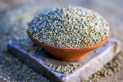 bajra-peral-millet-featured-image-scaled