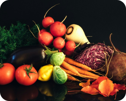 Sustainability in the Food Supply Chain