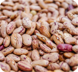 red kidney beans
