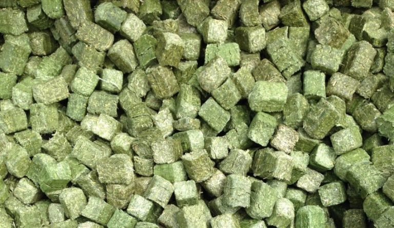Hay pellets